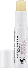 Парфумерія, косметика Бальзам для губ - Acca Kappa Natural Lip Balm SPF 15