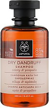 Шампунь із селерою і прополісом для сухого волосся від лупи - Apivita Shampoo For Dry Dandruff With Celery Propolis — фото N2
