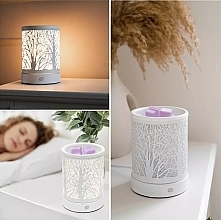 Аромадифузор - Rio-Beauty Wax Melt & Aroma Diffuser Lamp — фото N2