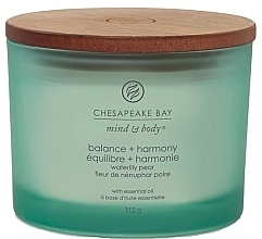 Ароматическая свеча - Chesapeake Bay Balance & Harmony — фото N2
