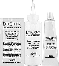 Крем-фарба для волосся - EffiDerm EffiColor Coloring Cream * — фото N2