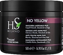Парфумерія, косметика Маска для догляду за світлим, сивим, знебарвленим волоссям - HS Milano No Yellow Anti-Yellow Mask Plus