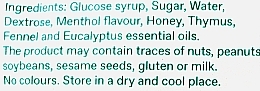 Льодяники від кашлю з евкаліптом і ментолом - Korres Herb Balsam Pastilles With Eucalyptus Essential Oils & Menthol — фото N2