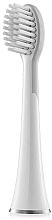 Парфумерія, косметика Змінна насадка для звукової зубної щітки, 2 шт. - WhiteWash Laboratories Brush Heads For Sonic Whitening Toothbrush