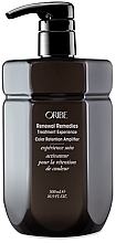 Бустер для яскравості кольору волосся - Oribe Renewal Remedies Treatment Experience Color Retention Amplifier — фото N1