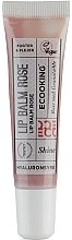 Парфумерія, косметика Бальзам для губ - Ecooking Lip Balm