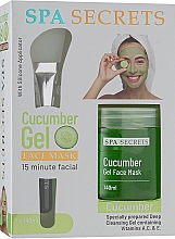 Набор - Spa Secrets Cucumber Gel Face Mask (mask/140ml + brush/mask/1pcs) — фото N1
