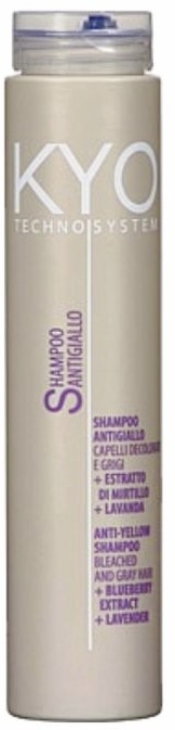 Шампунь проти жовтизни, для сивого і освітленого волосся - Kyo Techno System Anti-Yellow Shampoo — фото N1