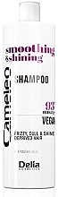 Парфумерія, косметика Шампунь для виткого, тьмяного волосся із сухими кінчиками - Delia Cameleo Smoothing & Shining Shampoo