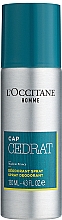 L'Occitane L’Homme Cologne Cedrat - Дезодорант — фото N1