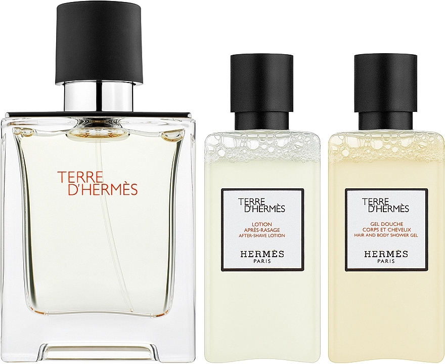 Hermes Terre d’Hermes - Набор (edt/50ml + h&b/sh/gel/40ml + ash/lot/40ml) — фото N2