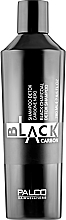 Шампунь очищающий - Palco Professional Black Carbon Shampoo Detox — фото N1