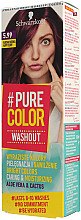 Духи, Парфюмерия, косметика Тонирующая краска для волос - Pure Color Washout Gel Coloration