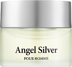Аромат Angel Silver Pour Homme - Туалетная вода — фото N1