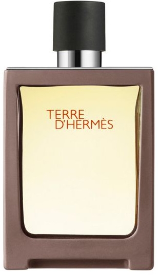 Hermes Terre D'Hermes Travel Spray - Туалетная вода — фото N1
