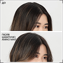 Освежающий шампунь для контроля жирности кожи головы и увлажнения волос по длине - Redken Amino Mint Shampoo — фото N4