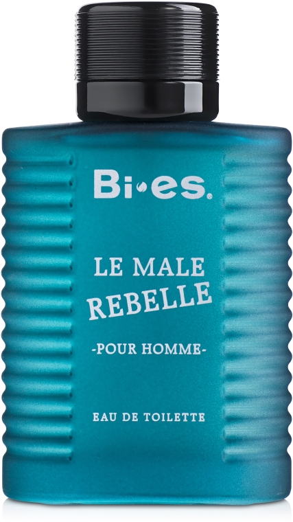 bi es le male rebelle