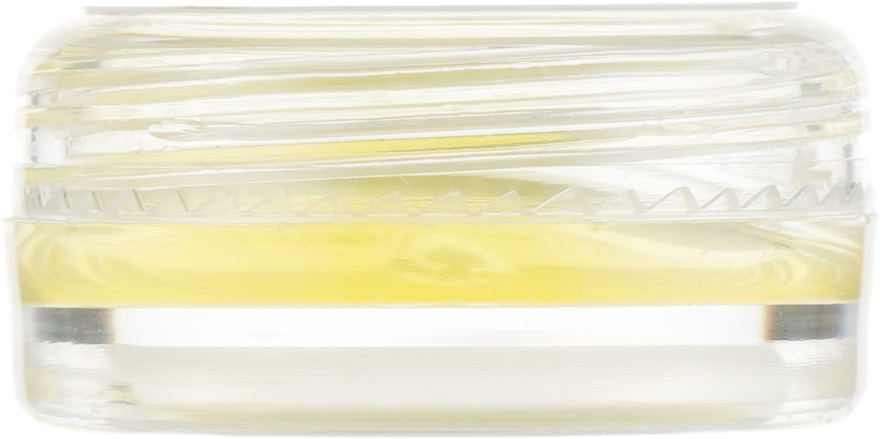 Зволожувальна еліксир-сироватка з ліфтинг-ефектом - Piel Cosmetics Rejuvenate Anti-Age Lifting Elixir (пробник) — фото N3
