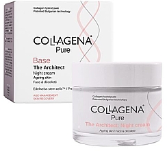 Духи, Парфюмерия, косметика Ночной крем для лица - Collagena Pure Base The Architect Night Cream