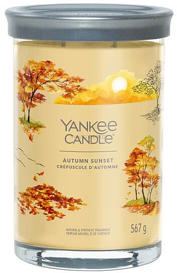 Ароматична свічка в склянці «Autumn Sunset», 2 ґноти - Yankee Candle Singnature — фото N1