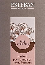 Духи, Парфюмерия, косметика Парфюмированный спрей для дома - Esteban Iris Cashemire Home Fragrance (пробник)