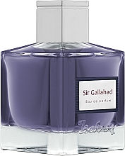 Isabey Sir Gallahad - Парфюмированная вода (тестер с крышечкой) — фото N1