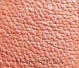 Румяна для лица - Asoa Mineral Blush — фото Pastel Coral