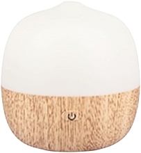 Духи, Парфюмерия, косметика Диффузор - Fagnes Coconut Diffuser 