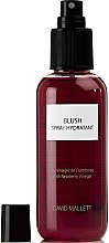 Парфумерія, косметика Спрей для фарбованого волосся - David Mallett Blush Red Raspberry Spray