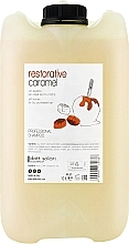 Шампунь з кератином для сухого і пошкодженого волосся - Dott. Solari Restorative Caramel Shampoo Salon Size — фото N1