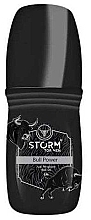 Дезодорант роликовый - Storm For Men Bull Power Anti-Perspirant Roll-On — фото N1