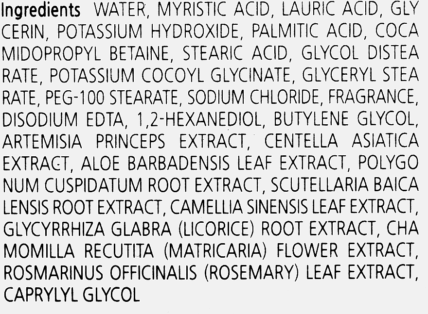 Пенка для умывания с экстрактом полыни - Enough Pure Artemisia Foam Cleansing — фото N3