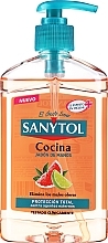 Жидкое мыло "Розовый грейпфрут и лайм" - Sanytol  — фото N1