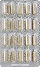 Пробиотики после антибиотиков - Dr. Wolz Darmflora Plus Select — фото N2