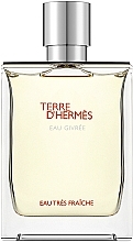 Hermes Terre d'Hermes Eau Givree - Парфюмированная вода — фото N2