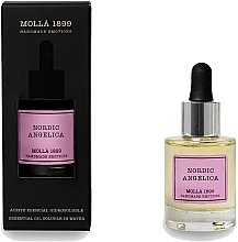 Эфирное масло - Cereria Molla Nordic Angelica Essential Oil Soluble In Water — фото N1