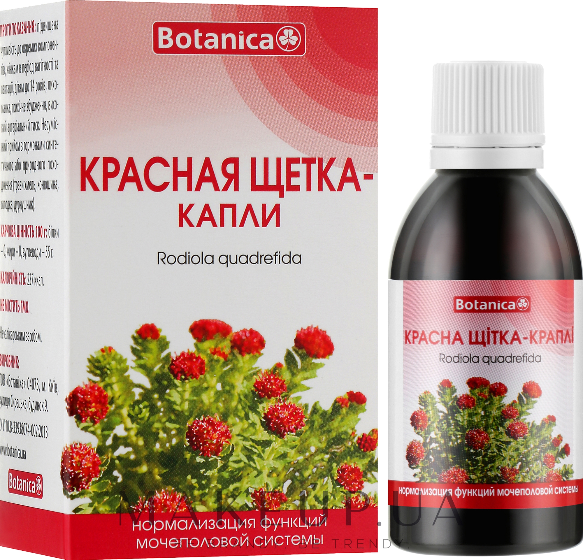 Краплі "Червона щітка" для покращення роботи сечостатевої системи - Botanica — фото 50ml