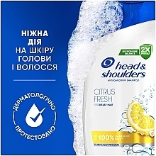 Шампунь против перхоти "Цитрусовая свежесть" - Head & Shoulders Citrus Fresh — фото N9