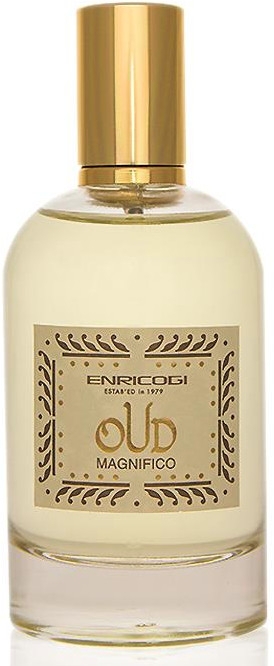 Enrico Gi Oud Magnifico - Парфюмированная вода (тестер с крышечкой) — фото N1