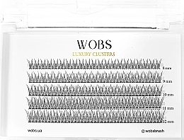 Накладні пучкові вії, 5 стрічок, 8,9,10,11,12mm - WoBs Fish Tail 10D — фото N1