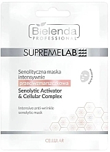 Парфумерія, косметика Інтенсивна маска проти зморщок - Bielenda Professional SupremeLab Cellular