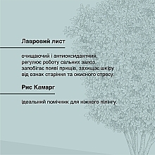 Твердый эксфолиант для деликатного очищения кожи лица с рисом камар и лавровым листом - Les Bois Le Visage Laurel & Camargue Rice Exfoliating Face Cleanser — фото N5