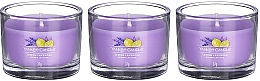 Набор ароматических свечей "Лимон и лаванда" - Yankee Candle Lemon Lavender (candle/3x37g) — фото N2