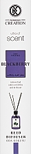 Парфумерія, косметика Kreasyon Creation Blackberry - Аромадифузор