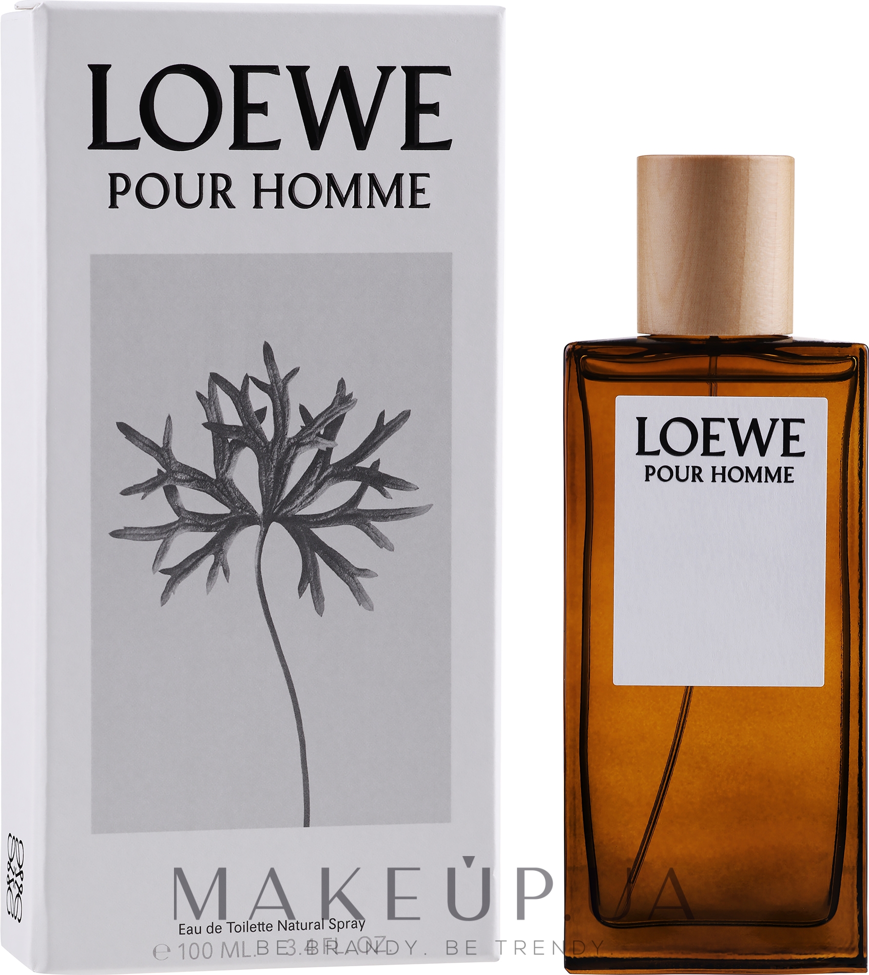 Loewe Loewe Pour Homme - Туалетна вода — фото 100ml