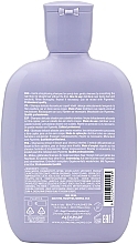 Шампунь для розгладжування волосся - Alfaparf Semi di Lino Smooth Smoothing Shampoo — фото N2