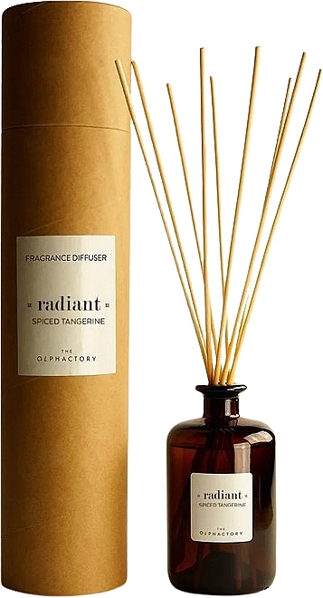 Ароматичний дифузор - Ambientair The Olphactory Radiant Spiced Tangerine Complete Fragrance Diffuser — фото N1