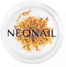 Сухоцвіти для дизайну нігтів - NeoNail Professional — фото N1