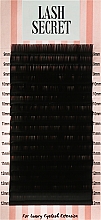 Накладные ресницы, черные, 16 линий (mix, 0.07, C, 9-12) - Lash Secret — фото N1