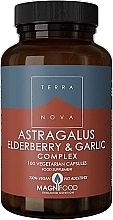 Харчова добавка "Комплекс астрагалу, бузини, часнику" - Terranova Astragalus Elderberry & Garlic Complex — фото N2